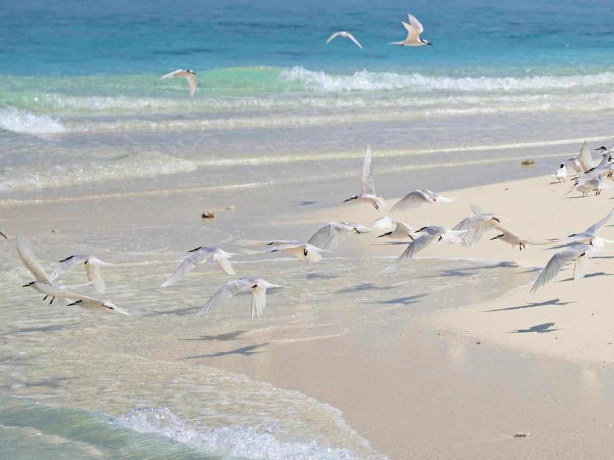 Kiha Beach Dharavandhoo Εξωτερικό φωτογραφία